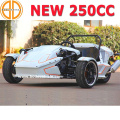 MC-369 Bode Quanlity assegurado novo CEE 250cc Ztr Trike Roadster para venda 3 Wheeler motocicleta